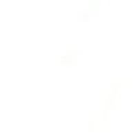 player(xl t del có ảnh)