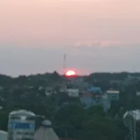 tác giả