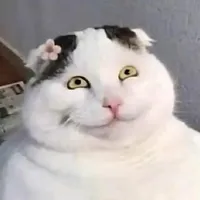 Lỏi nhất giớp! 😎