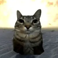 t/g