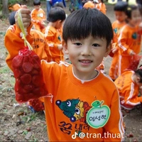 má lúm của seaniu