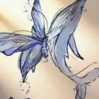 mèo con 😼(tác giả )