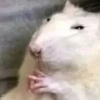 T/g