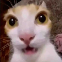 All (có thể trừ)