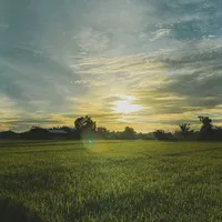 _ NVP _