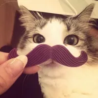 ptramm >.<