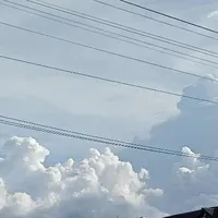 tác giả