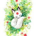 Hệ thống - Tiểu ly