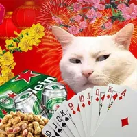 Một người bất kỳ