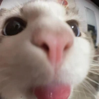 tgiaaa