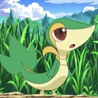 Vũ Tổng >w<