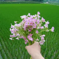 all (trừ ai thì trừ)