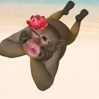 tác giả cte hột me xí muội 
