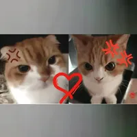 tác giả ctee