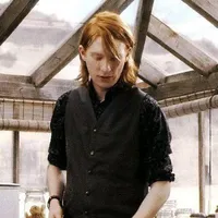 Wiliam Arthur Weasley (Bill)