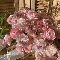 CLB Nhảy@clb.nhay.dthww