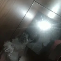 T/g Nhím 🦔