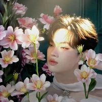 nguyễn thanh pháp