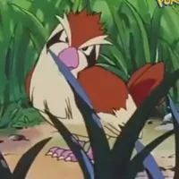 Pidgey_Satoshi