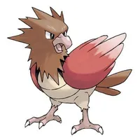 Spearow