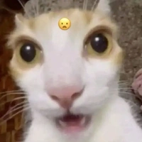 𝑡𝑎̂́𝑡 𝑐𝑎̉ 𝑚𝑜̣𝑖 𝑛𝑔𝑢̛𝑜̛̀𝑖 𝑎