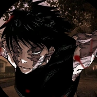 _t/g meo meo_
