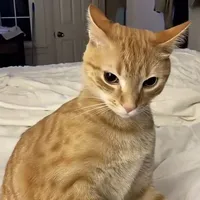 Mọi người - ai cần -