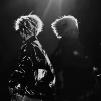 Zyn®© -Tác giả-