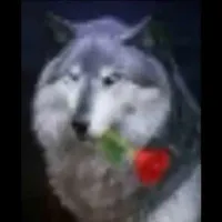 Nhân vật phụ (nữ)