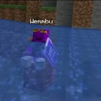 người chơi(player)