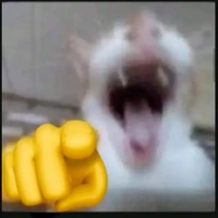 Tạ Đình ( Hệ thống )