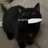 𝐊𝐞𝐧𝐫𝐢