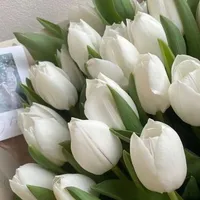 chấp hết mọi nv