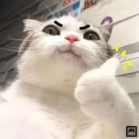 tác giả đẹp Trai vô địch vũ trụ