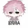 hiha bnha
