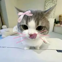bé nghịn boylove