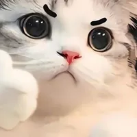 t/g