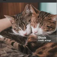 hệ thống 1812 và 1411