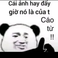 T/g