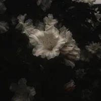 All | Trừ ai cần trừ |