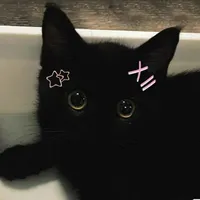 Dora