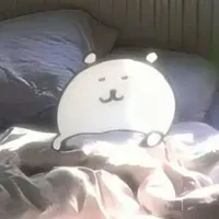 BoBo