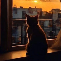 tui là tác giả nè:3