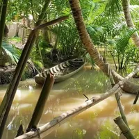 Kot mê miền Tâyy 🙈