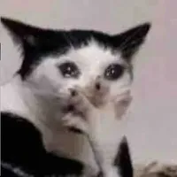 Hệ thống [ Ăn rồi suốt ngày báo ]