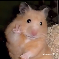 Tác giả