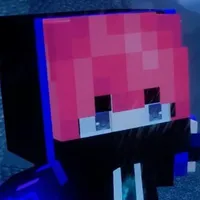 Hiha enderman /bot/