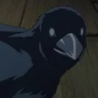 cân mọi loại quạ