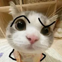 Bông Bống Bồng