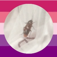 | 𝐓/𝐠 (𝐑𝐢𝐤𝐨)